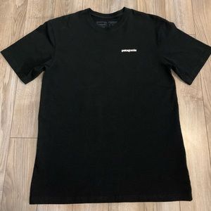 Patagonia regular fit tee